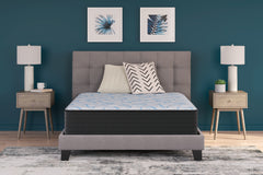 Homestyle Furniture - Ashley Furniture - Elite Springs Firm Full Mattress - Full - M40521