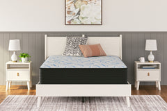 Homestyle Furniture - Ashley Furniture - Elite Springs Plush King Mattress - King - M40641