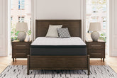 Homestyle Furniture - Ashley Furniture - Limited Edition PT Twin Mattress - Twin - M41211