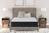 Homestyle Furniture - Ashley Furniture - Palisades Plush King Mattress - King - M41641