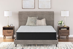 Homestyle Furniture - Ashley Furniture - Palisades Plush King Mattress - King - M41641