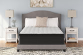 Homestyle Furniture - Ashley Furniture - Palisades ET King Mattress - King - M41741