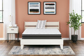Homestyle Furniture - Ashley Furniture - 10 Inch Pocketed Hybrid King Mattress - King - M58941
