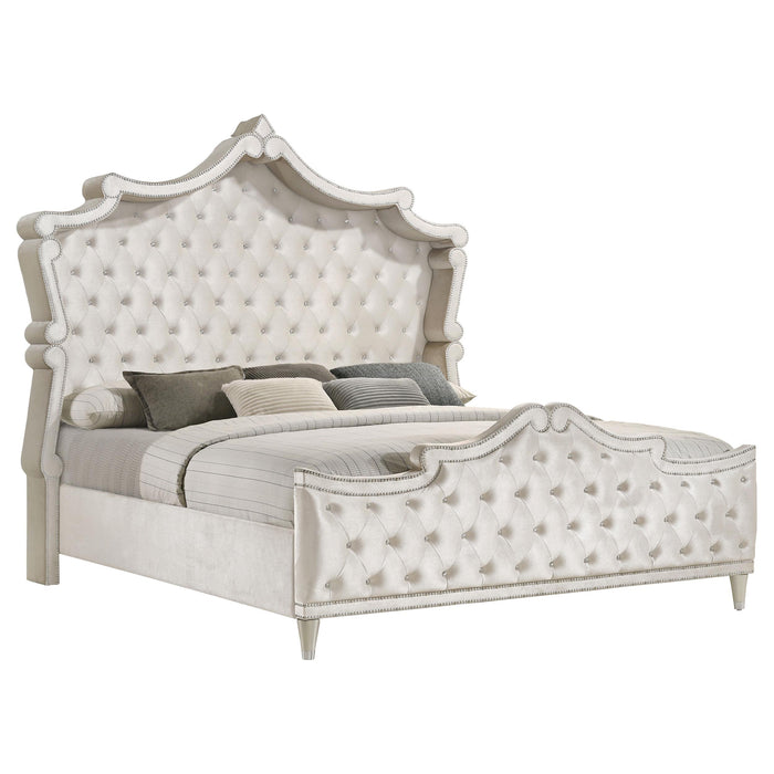 Antonella Upholstered Tufted Queen Bed Ivory and Camel image