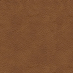 Emilia 5-Piece Sectional