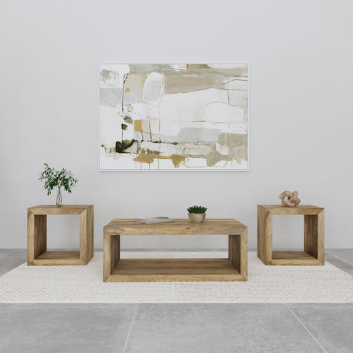 Homestyle Furniture - Coaster - Benton 3-piece Solid Mango Coffee and End Table Set Natural - 704838-S3