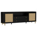 Homestyle Furniture - Coaster - Arini Rattan Cane 2-door TV Stand Media Console Black - 720263