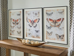 Homestyle Furniture - Ashley Furniture - Jossletts Wall Art (Set of 3) - Wall Art Set (3/CN) - A8000490