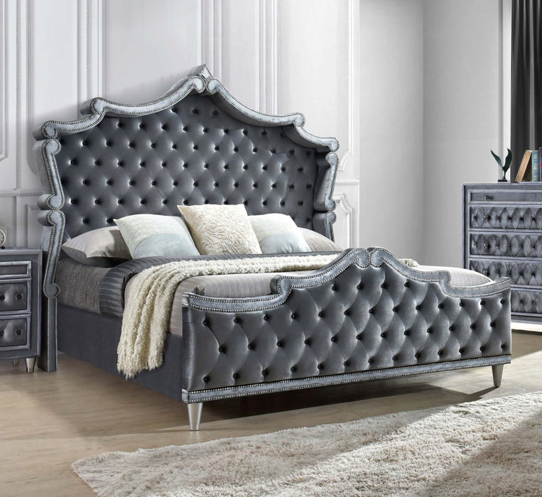 Antonella Upholstered Tufted Eastern King Bed Grey  Homestyle Furniture (ARk)