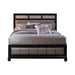 Barzini Queen Upholstered Bed Black and Grey  Homestyle Furniture (ARk)