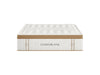 Cloverlane Hybrid Medium Mattresses - Homestyle Furniture (ARk)