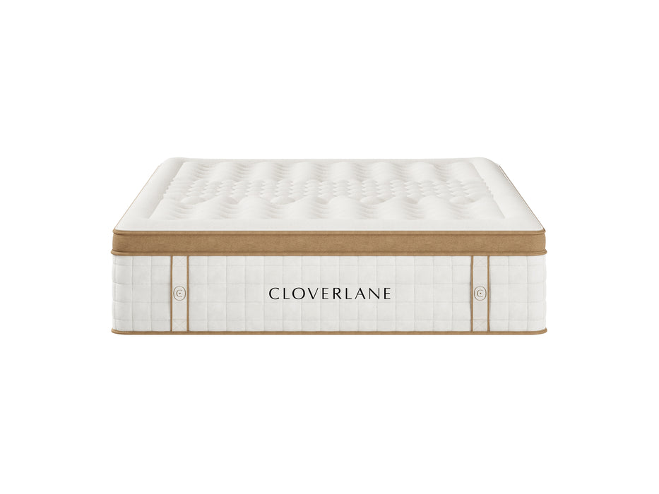 Cloverlane Hybrid Medium Mattresses - Homestyle Furniture (ARk)