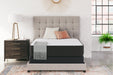 Limited Edition Firm Mattresses  Homestyle Furniture (ARk)