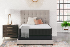Homestyle Furniture - Ashley Furniture - Limited Edition Firm King Mattress - King - M41041