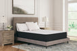 Limited Edition Plush Mattresses  Homestyle Furniture (ARk)