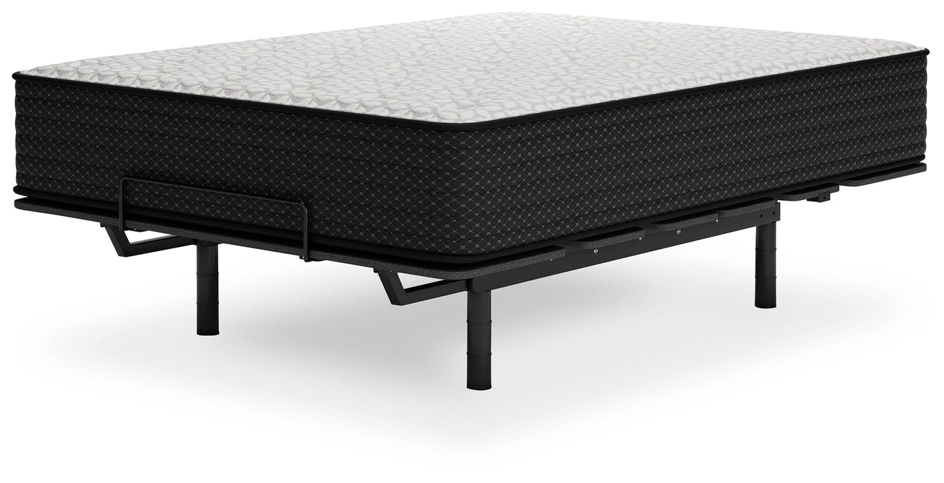 Limited Edition Plush Mattresses  Homestyle Furniture (ARk)