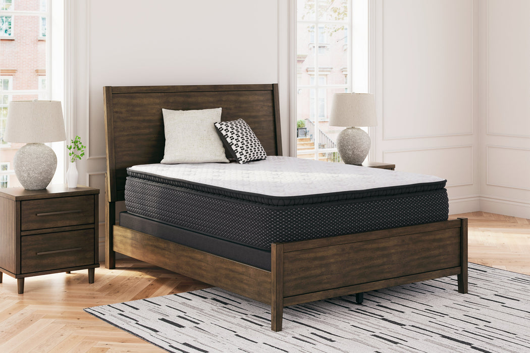 Limited Edition PT Mattresses  Homestyle Furniture (ARk)