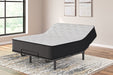 Palisades Plush Mattresses  Homestyle Furniture (ARk)