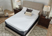 14 Inch Chime Elite Mattresses  Homestyle Furniture (ARk)